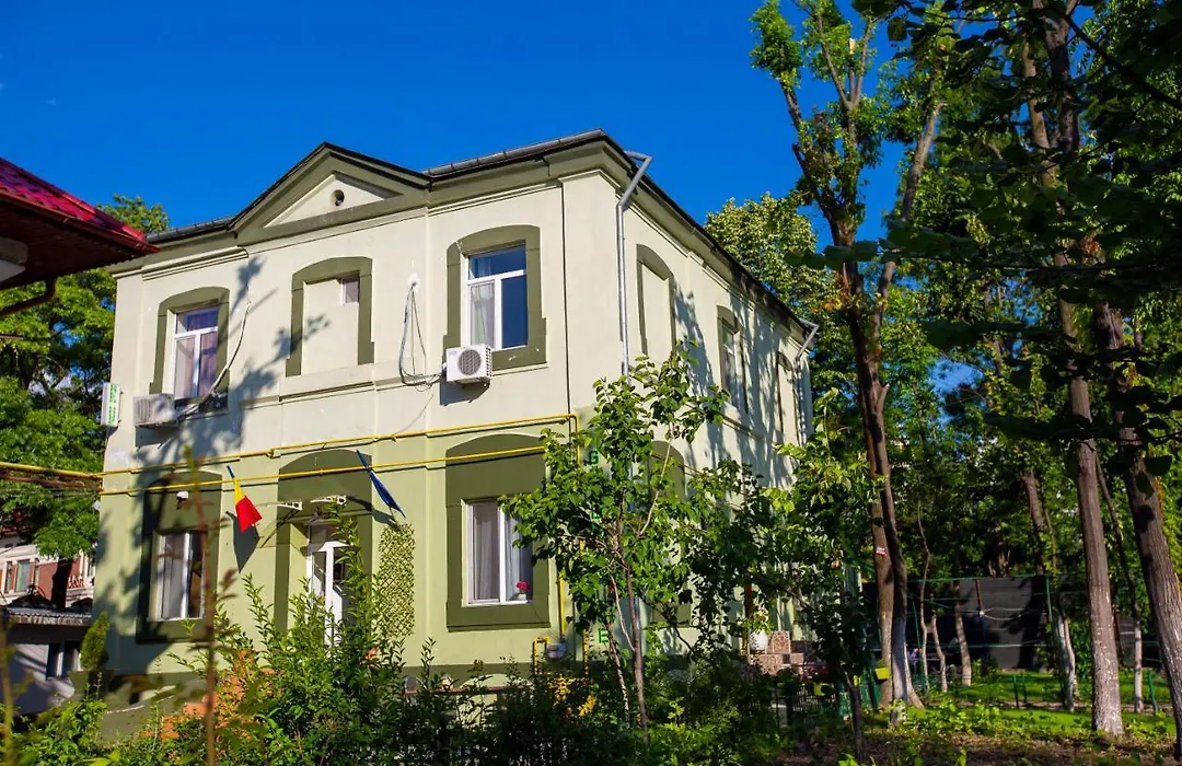 Green House-1