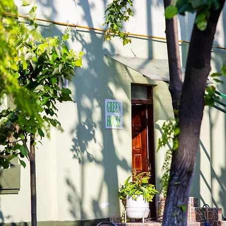 Green House-2